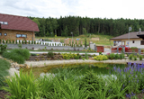 koupaci jezirko